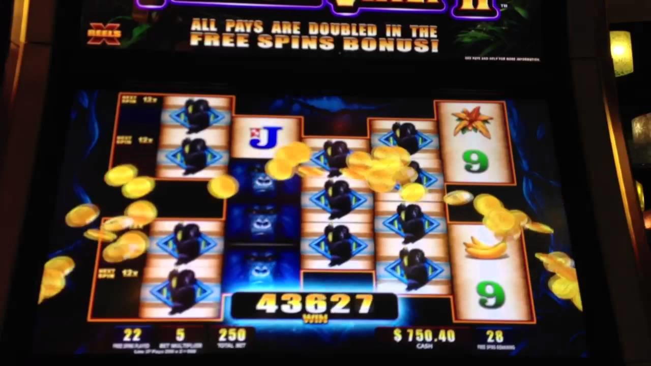 $3425 NO DEPOSIT BONUS at Wunderino Casino