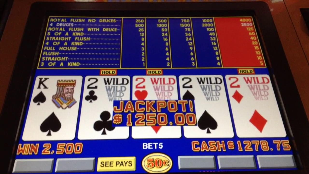 €2890 no deposit at Casino Cruise