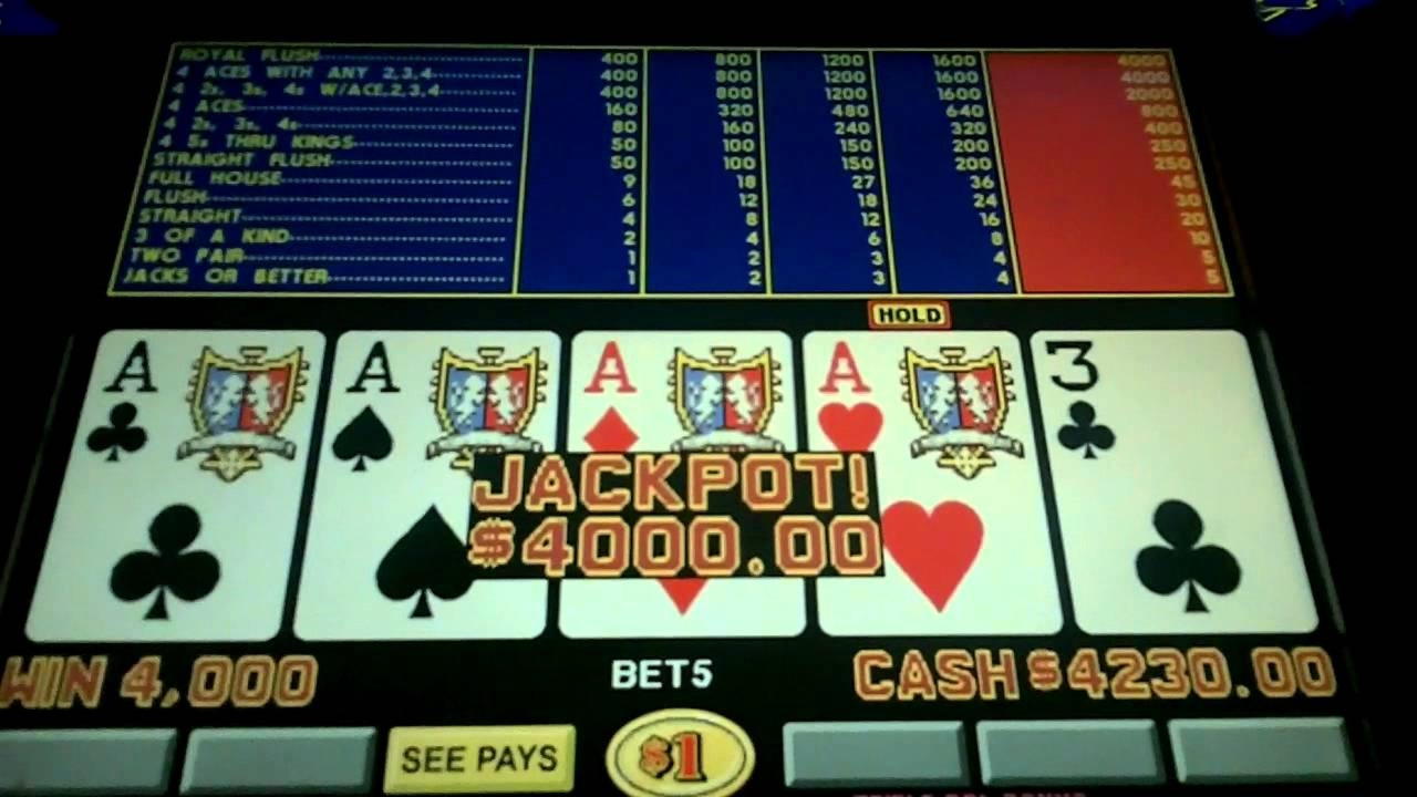 €285 Daily freeroll slot tournament at Royal Panda Casino