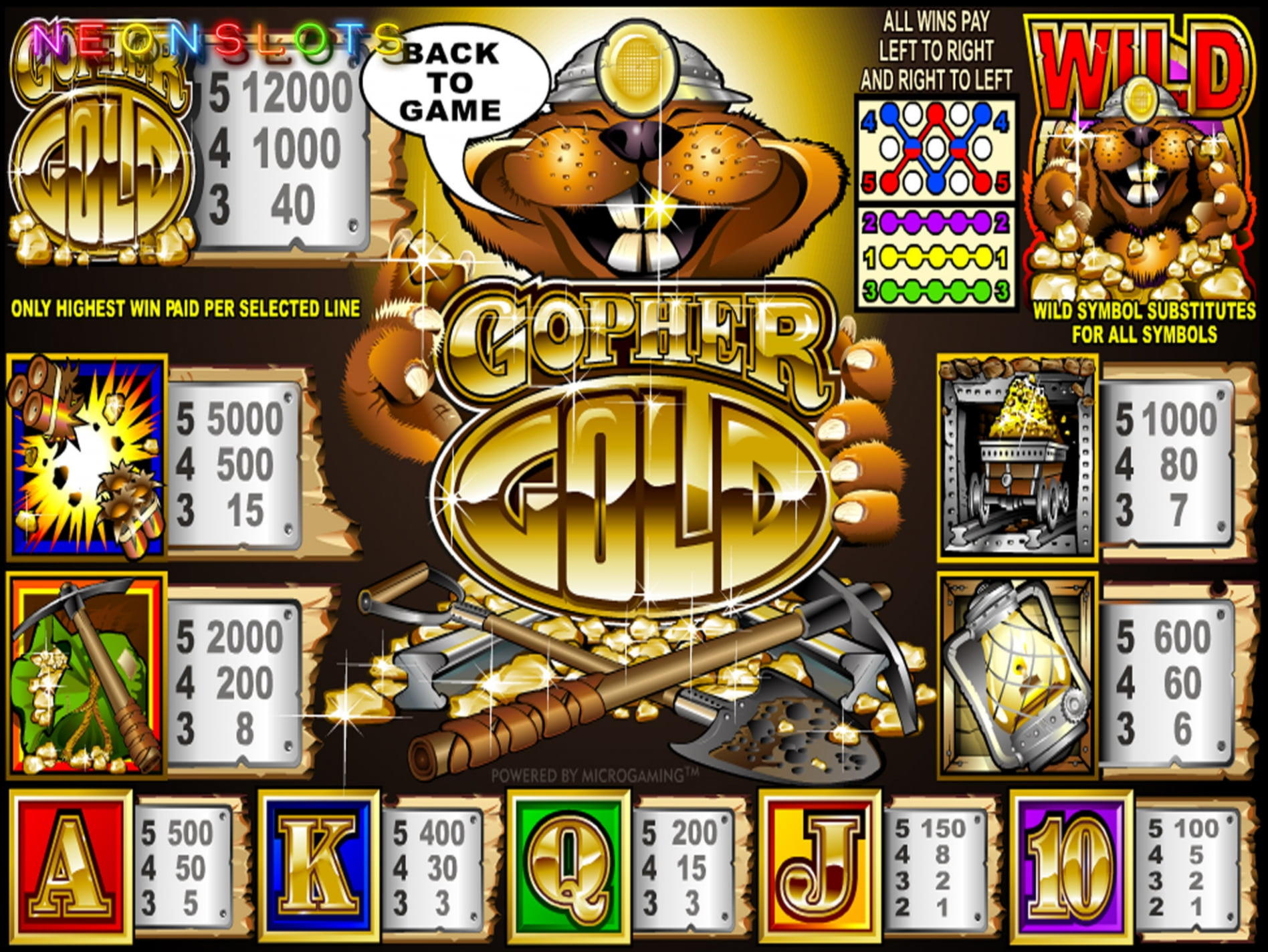 590% First deposit bonus at CasiPlay Casino