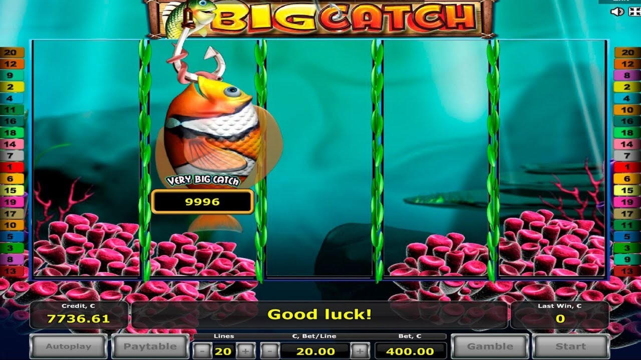 €80 Free Cash at Slotty Dubai Casino