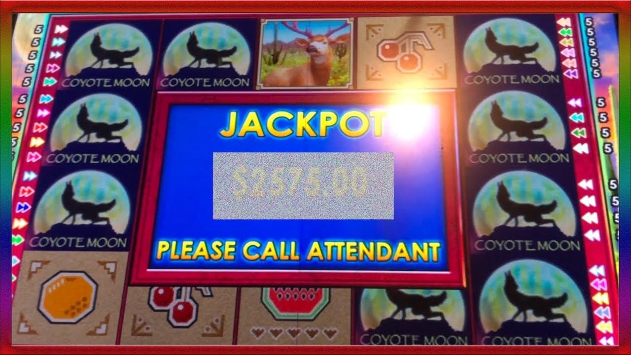 £865 No Deposit Bonus Casino at Royal Panda Casino