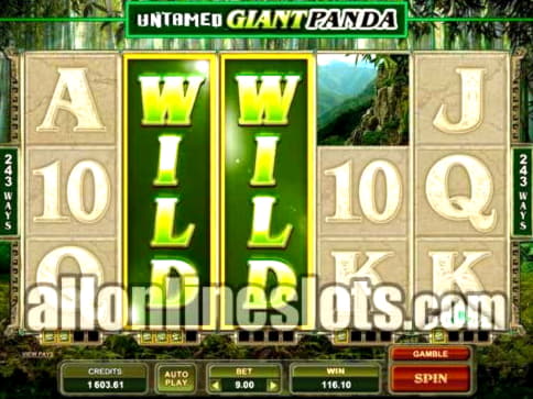 295 free spins casino at Wunderino Casino