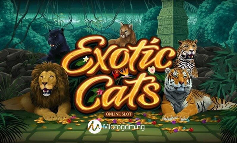 655% Casino Welcome Bonus at Jackpot City Casino