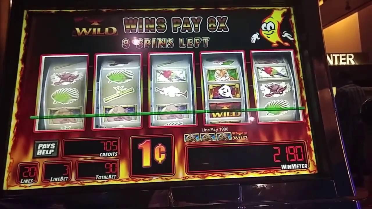 €395 Casino tournaments freeroll at CasiPlay Casino