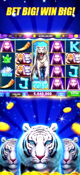 $410 Free Casino Tournament at Wix Stars Casino