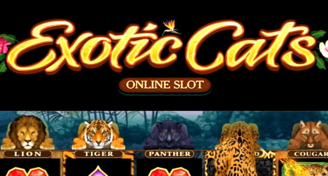 £325 free chip at Energy Casino