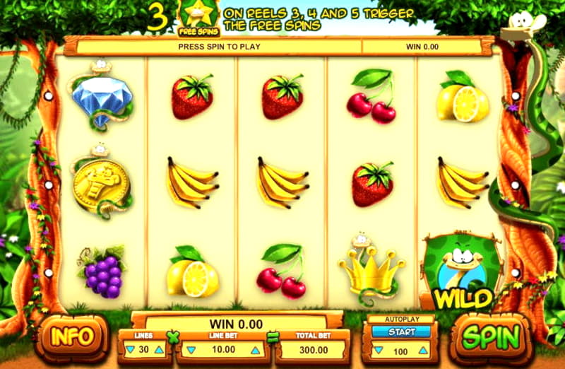 ﻿$265 Free Chip Casino at Wix Stars Casino