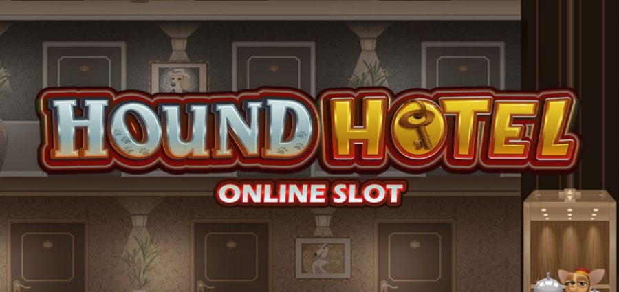 €220 NO DEPOSIT CASINO BONUS at Wix Stars Casino
