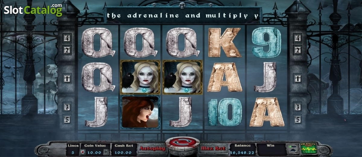 675% Best Signup Bonus Casino at Royal Panda Casino