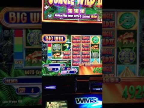 215 Free Spins right now at Royal Vegas Casino