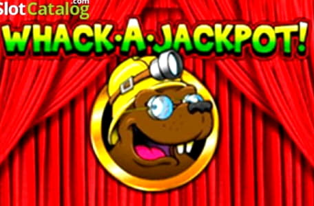 €880 Daily freeroll slot tournament at Karamba Casino