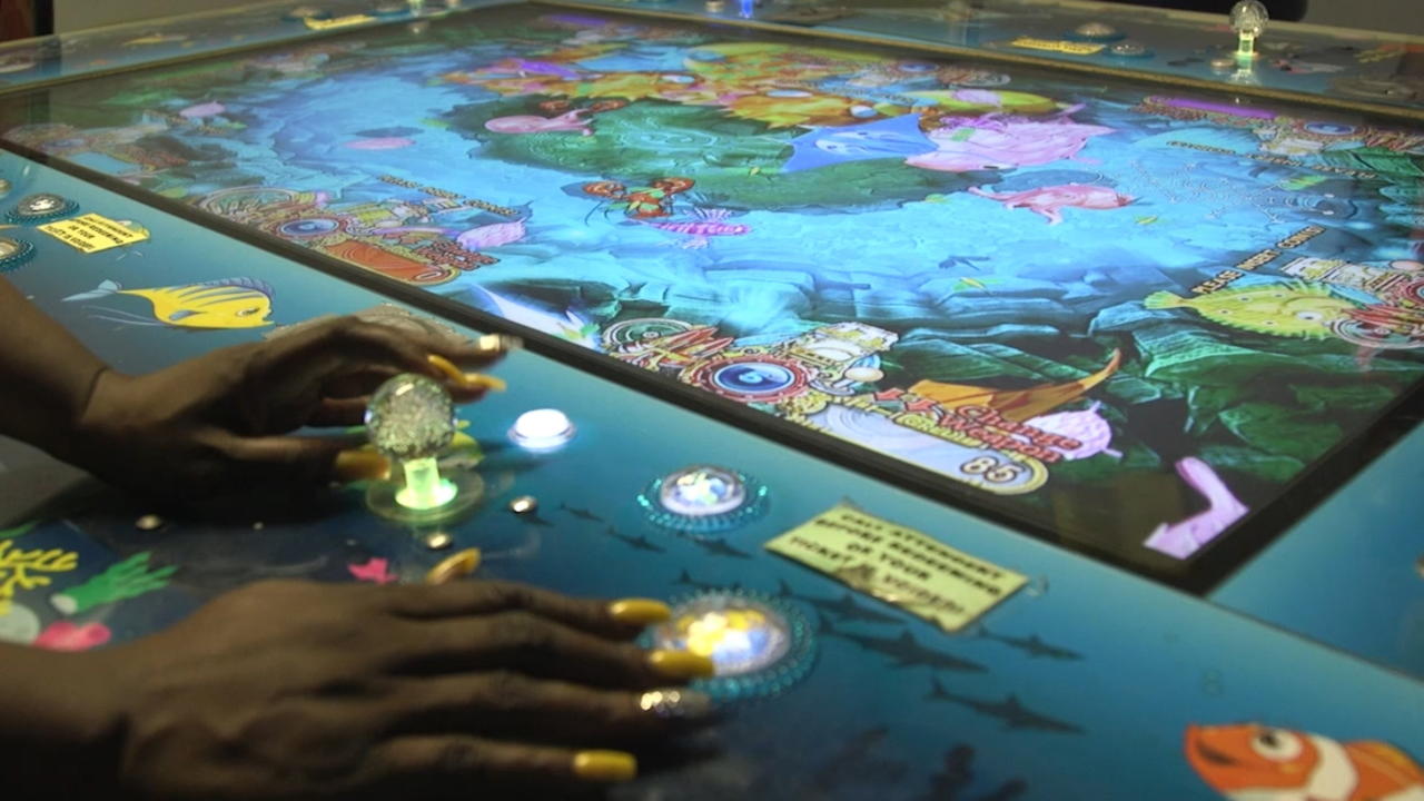 €800 no deposit casino bonus at Casino Cruise