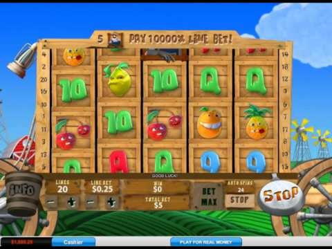EURO 565 Free Money at CasiPlay Casino