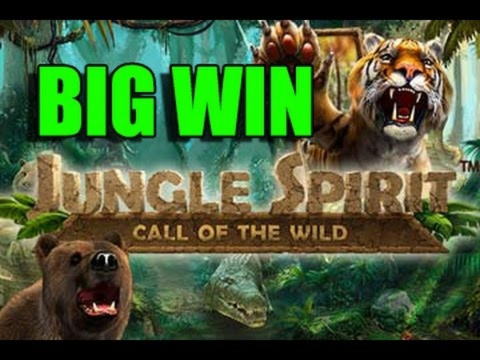 205 Loyal Free Spins! at Wunderino Casino