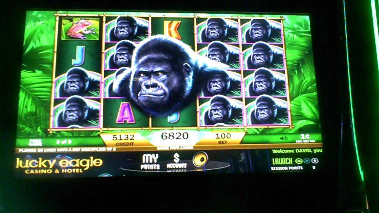 €175 NO DEPOSIT BONUS at Yako Casino