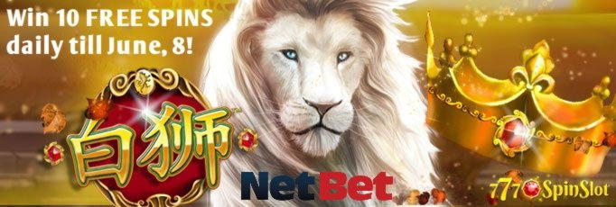 270% No Rules Bonus! at Royal Vegas Casino