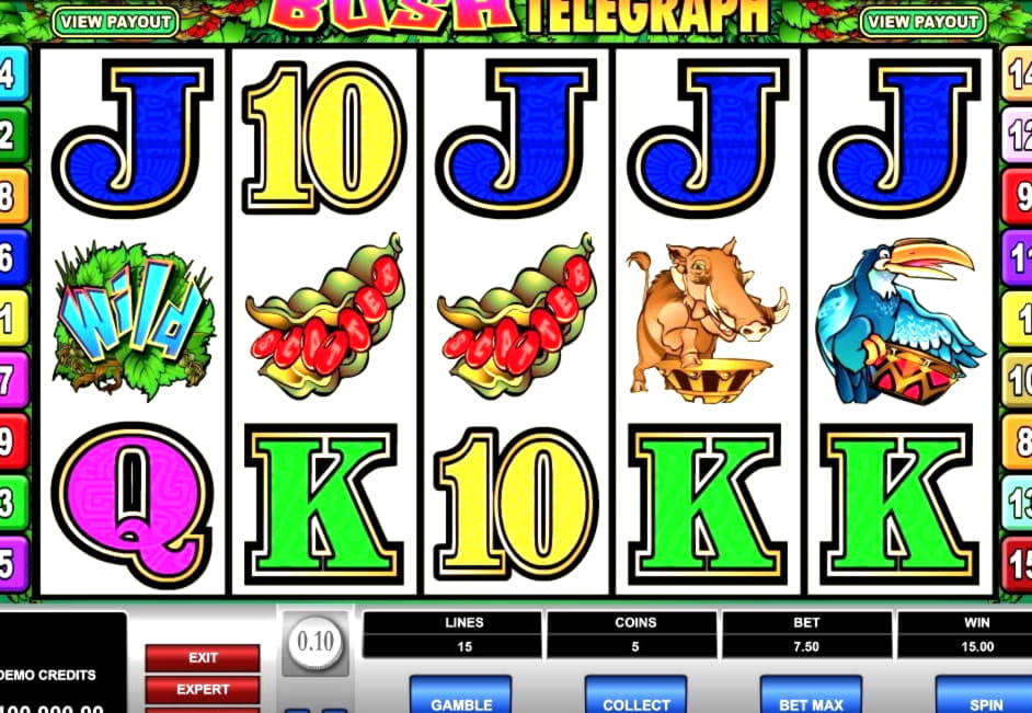 250 Loyalty Free Spins! at Platin Casino