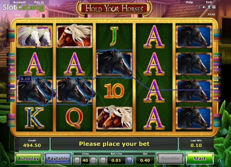 £455 Free Cash at Royal Panda Casino