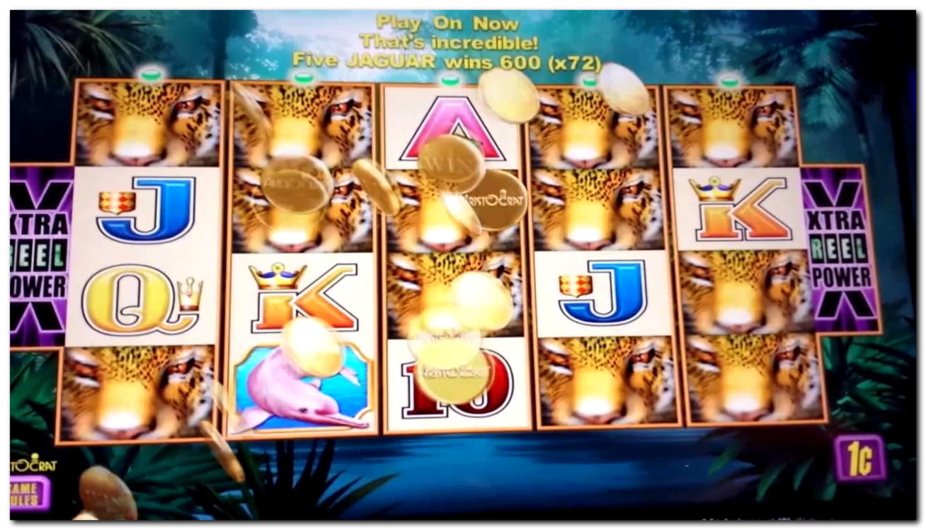 730% First Deposit Bonus at Casino Cruise