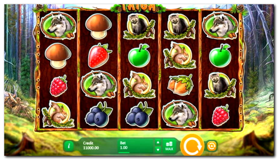 $170 Daily freeroll slot tournament at CasiPlay Casino