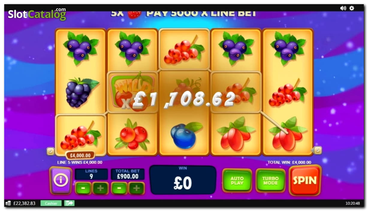 255 Free Spins at Wix Stars Casino
