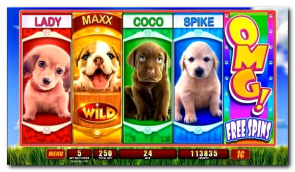 755% First Deposit Bonus at Slotty Dubai Casino