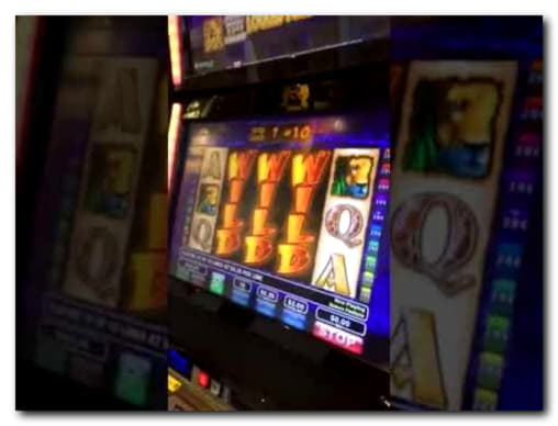 Eur 305 Daily freeroll slot tournament at Royal Panda Casino