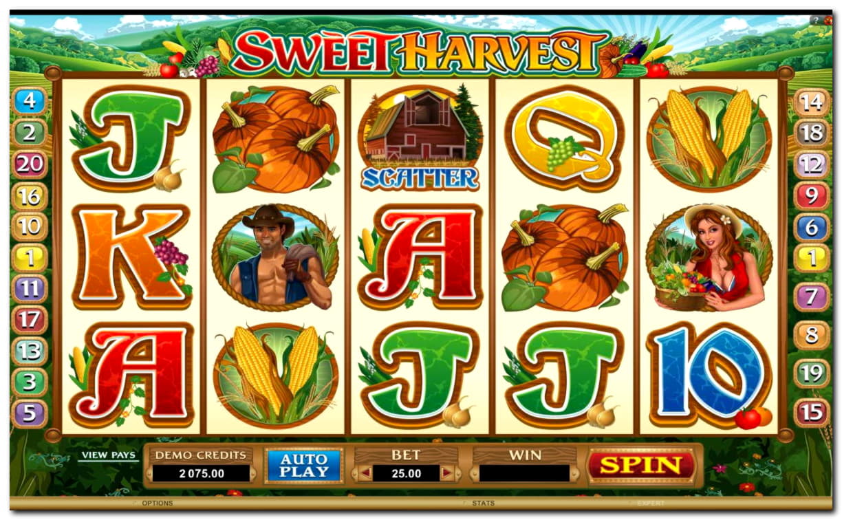 630% Deposit match bonus at Slotty Dubai Casino