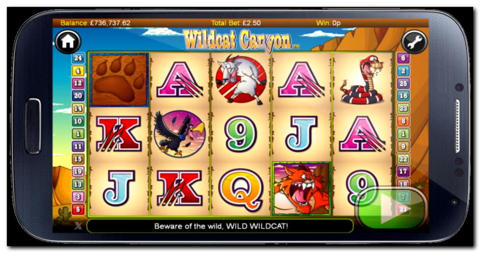 €3820 No Deposit at CasiPlay Casino