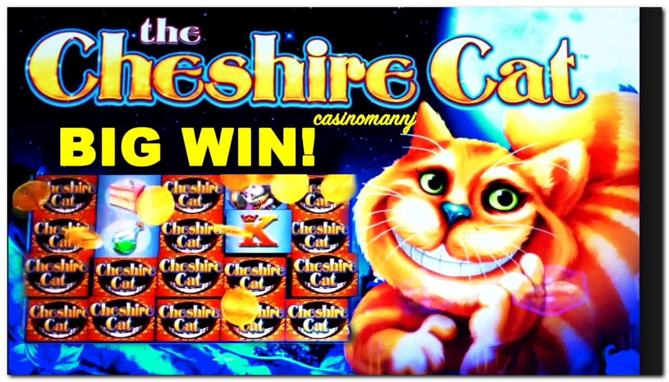 65 FREE SPINS at Casino Cruise