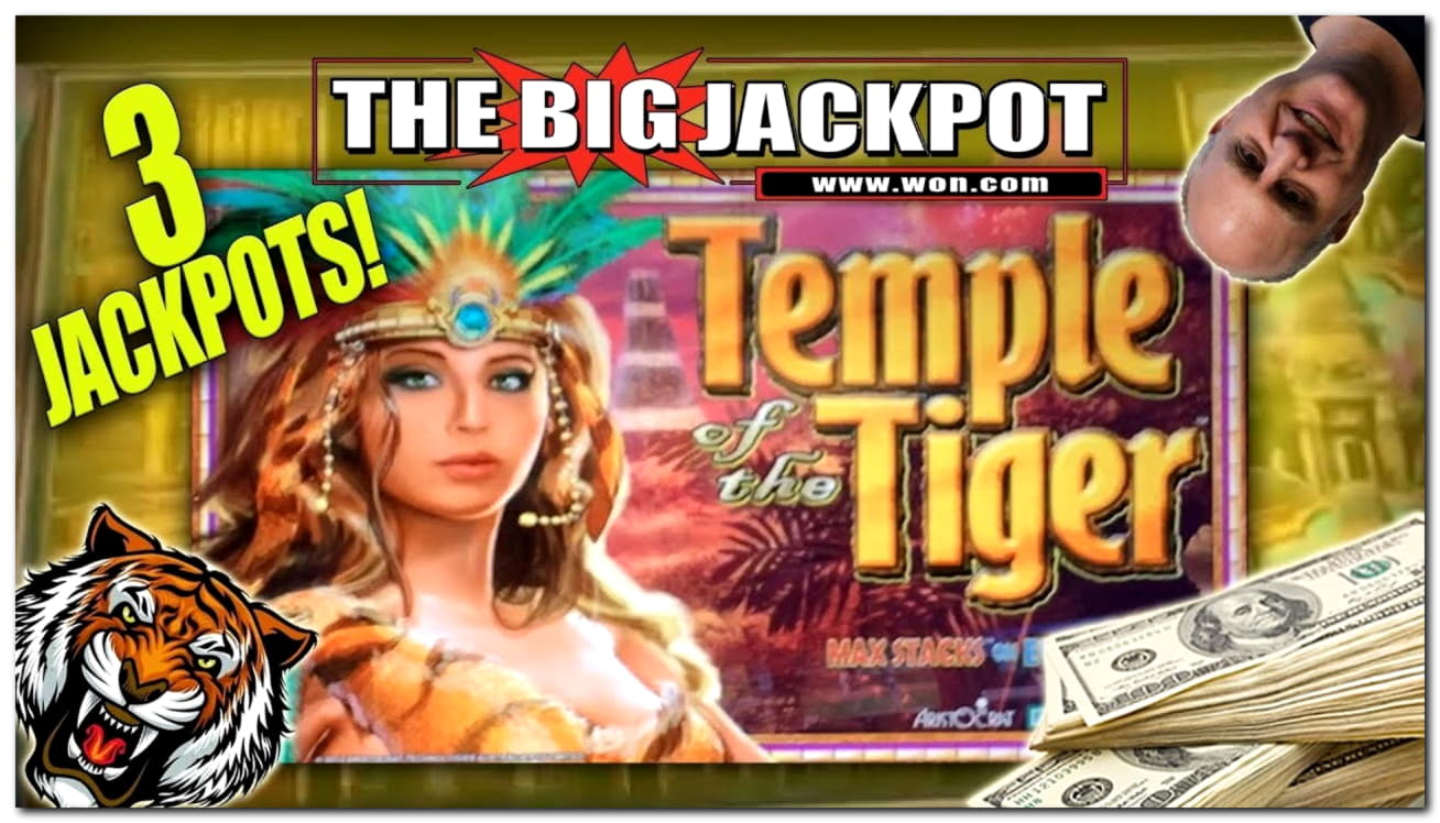 EUR 270 Free casino chip at Casino Cruise
