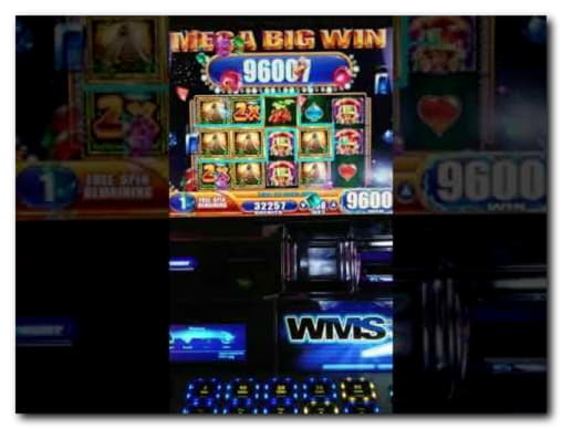 185 Free Spins at Casino Cruise