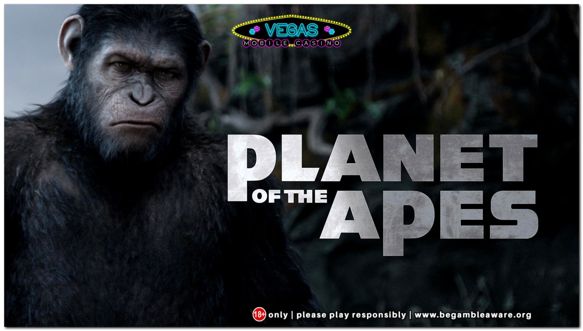 99 Loyal Free Spins! at Euro Palace Casino