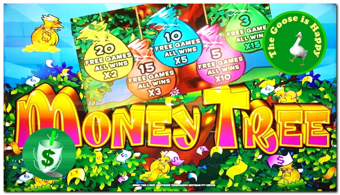 265 Free Spins no deposit casino at Wix Stars Casino