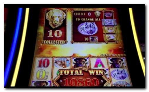 €830 Casino tournaments freeroll at Twin Casino