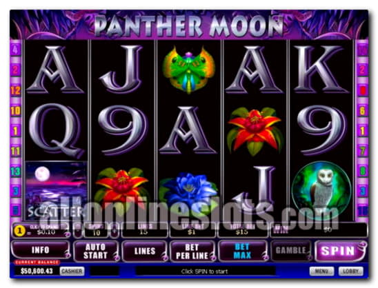 EUR 150 FREE CHIP CASINO at Casino Cruise