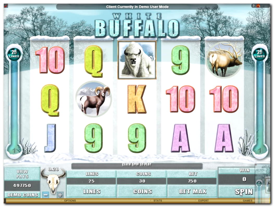 EUR 450 no deposit casino bonus at Slotty Dubai Casino