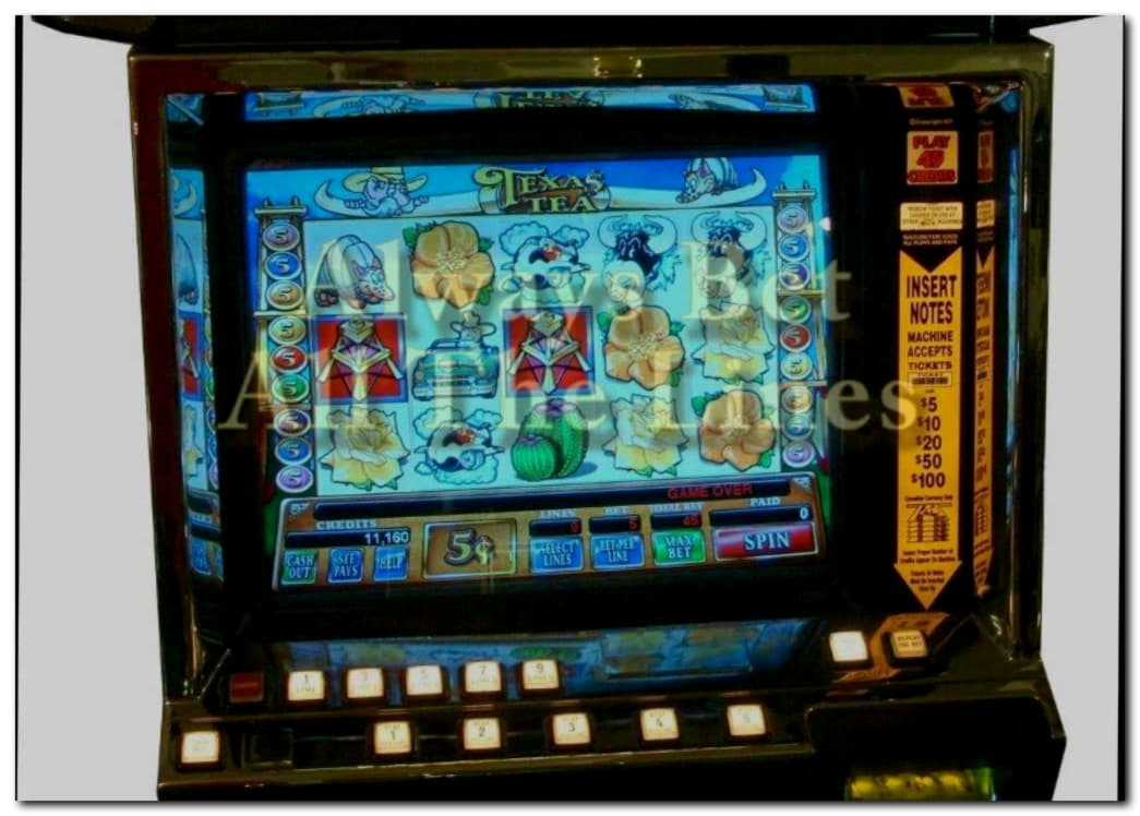 50% No Rules Bonus! at Twin Casino