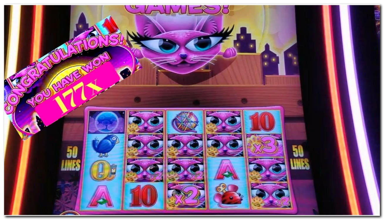 ﻿$2210 NO DEPOSIT CASINO BONUS at Mrgreen Casino