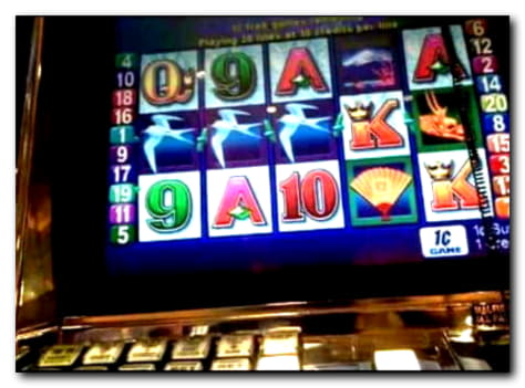 66 Free Spins Casino at Spin Up Casino