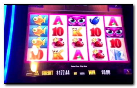 Eur 495 Online Casino Tournament at Jet Bull Casino