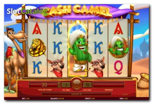 255 Free casino spins at Betway Casino