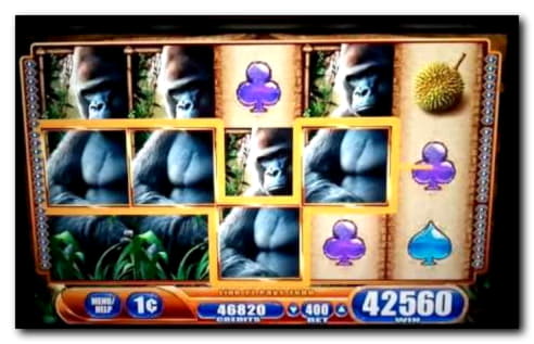 €505 Casino Tournament at Wunderino Casino