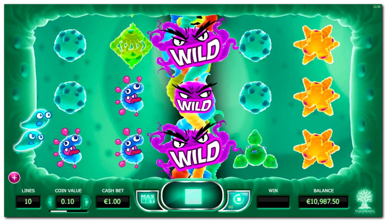 220 Free spins no deposit casino at Casino Cruise