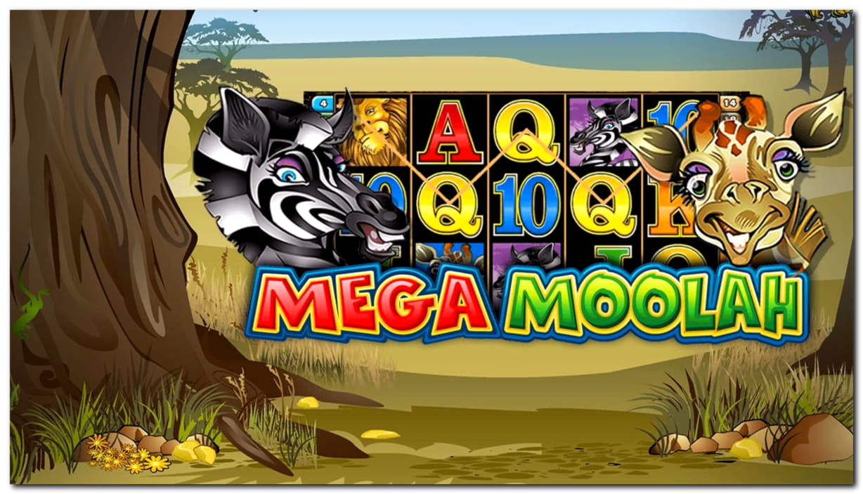 245 free spins at Casino Cruise