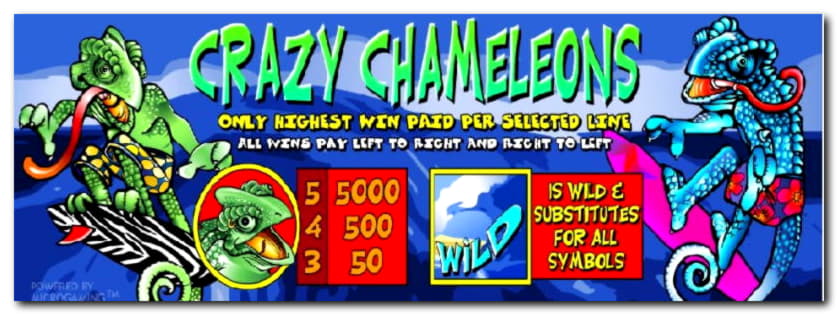 275 Free spins casino at Spins Royale Casino