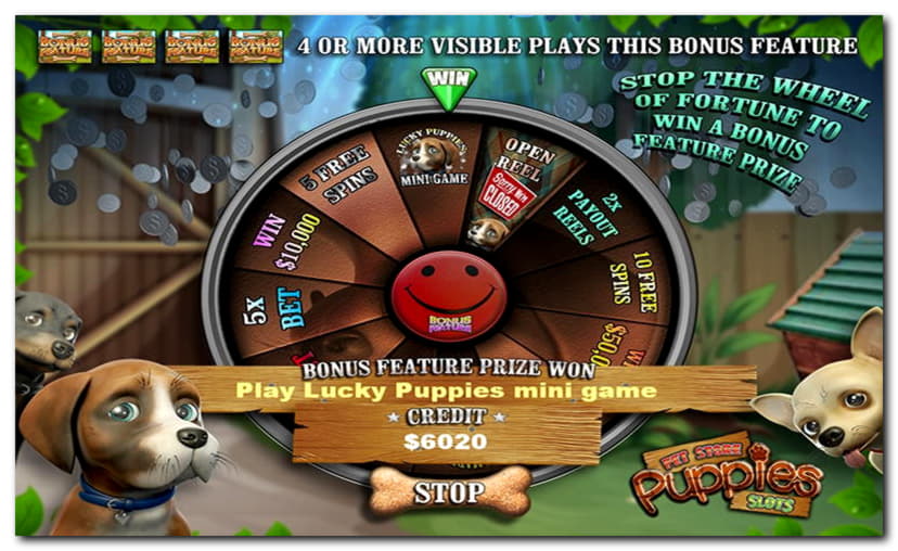 €585 Free Casino Chip at Slotty Dubai Casino