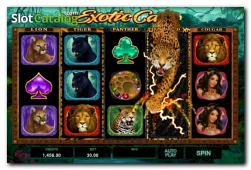 EURO 1210 No deposit bonus at 777 Casino