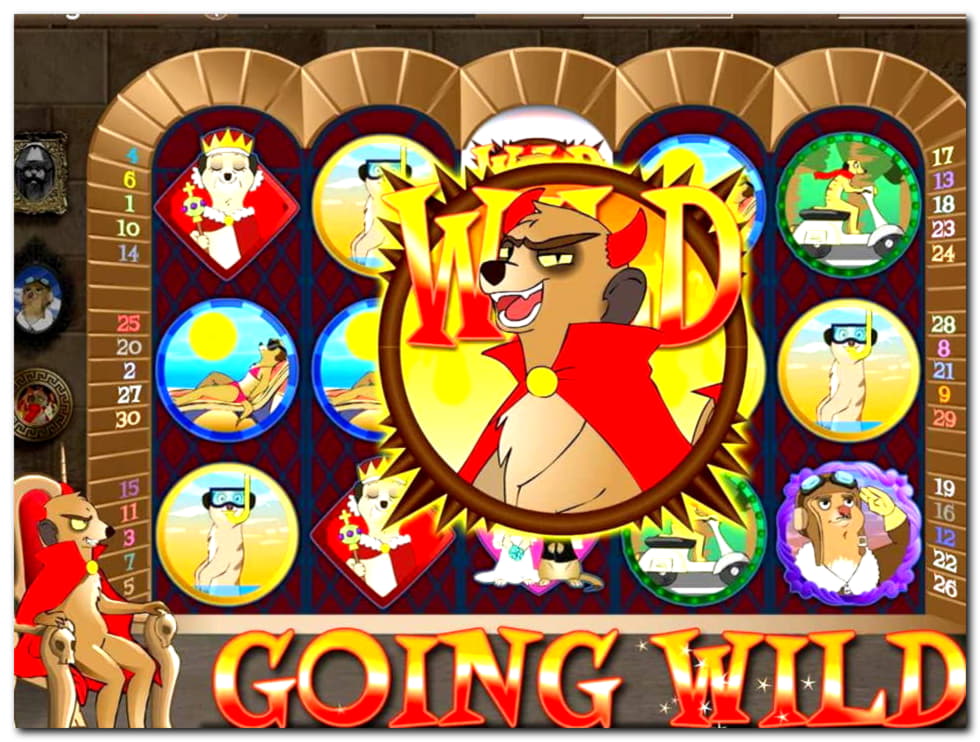 €195 Casino Tournament at CasiPlay Casino